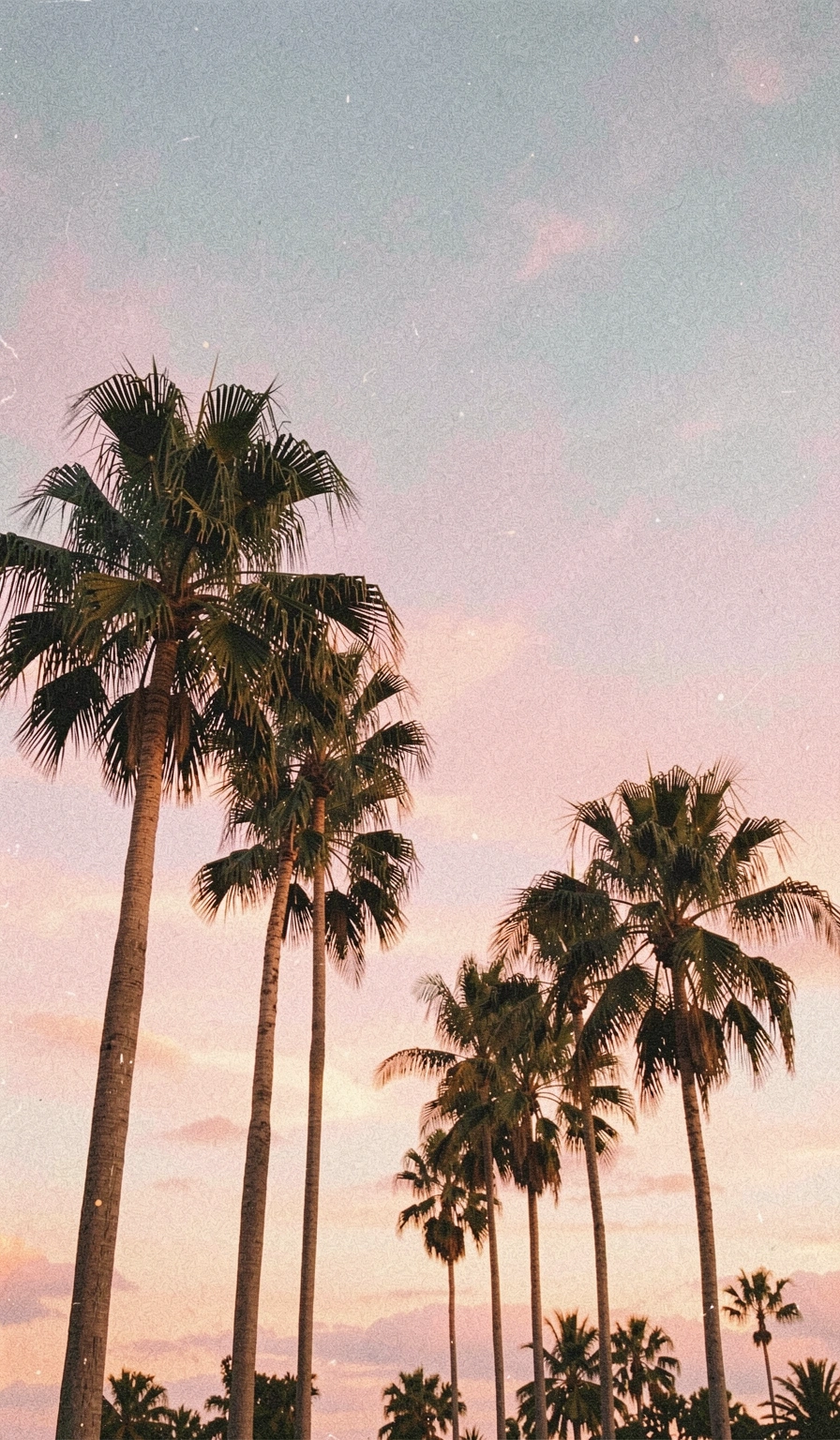 aesthetic wallpaper — vintage film 1 (free download)
