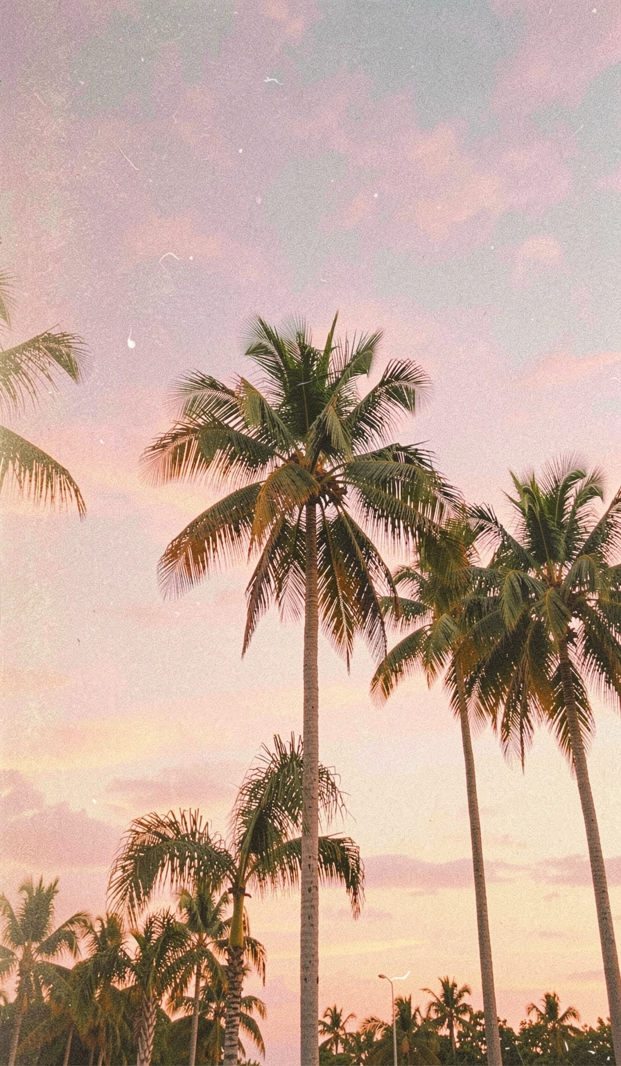 aesthetic wallpaper — vintage film 2 (free download)