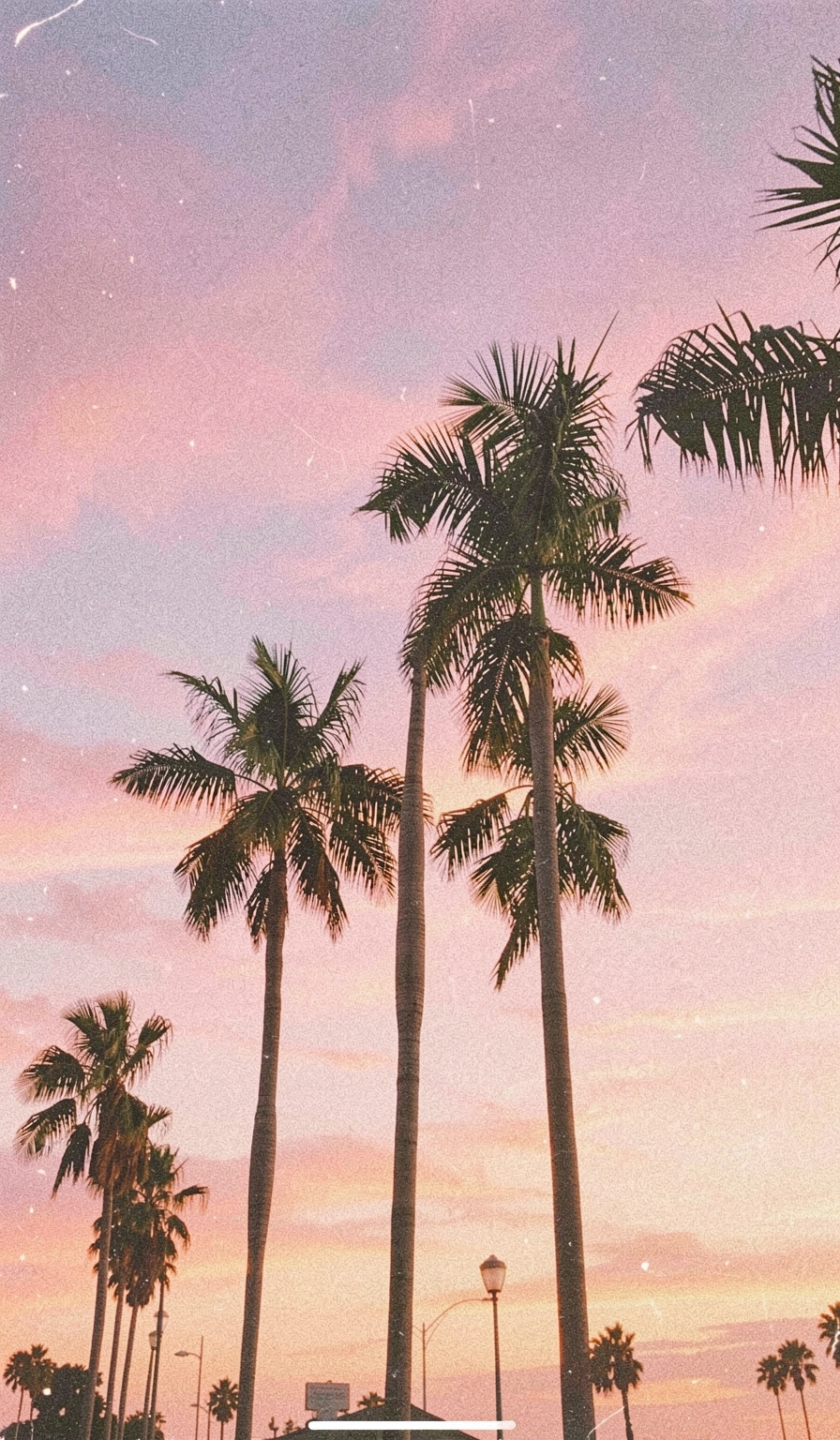 aesthetic wallpaper — vintage film 3 (free download)