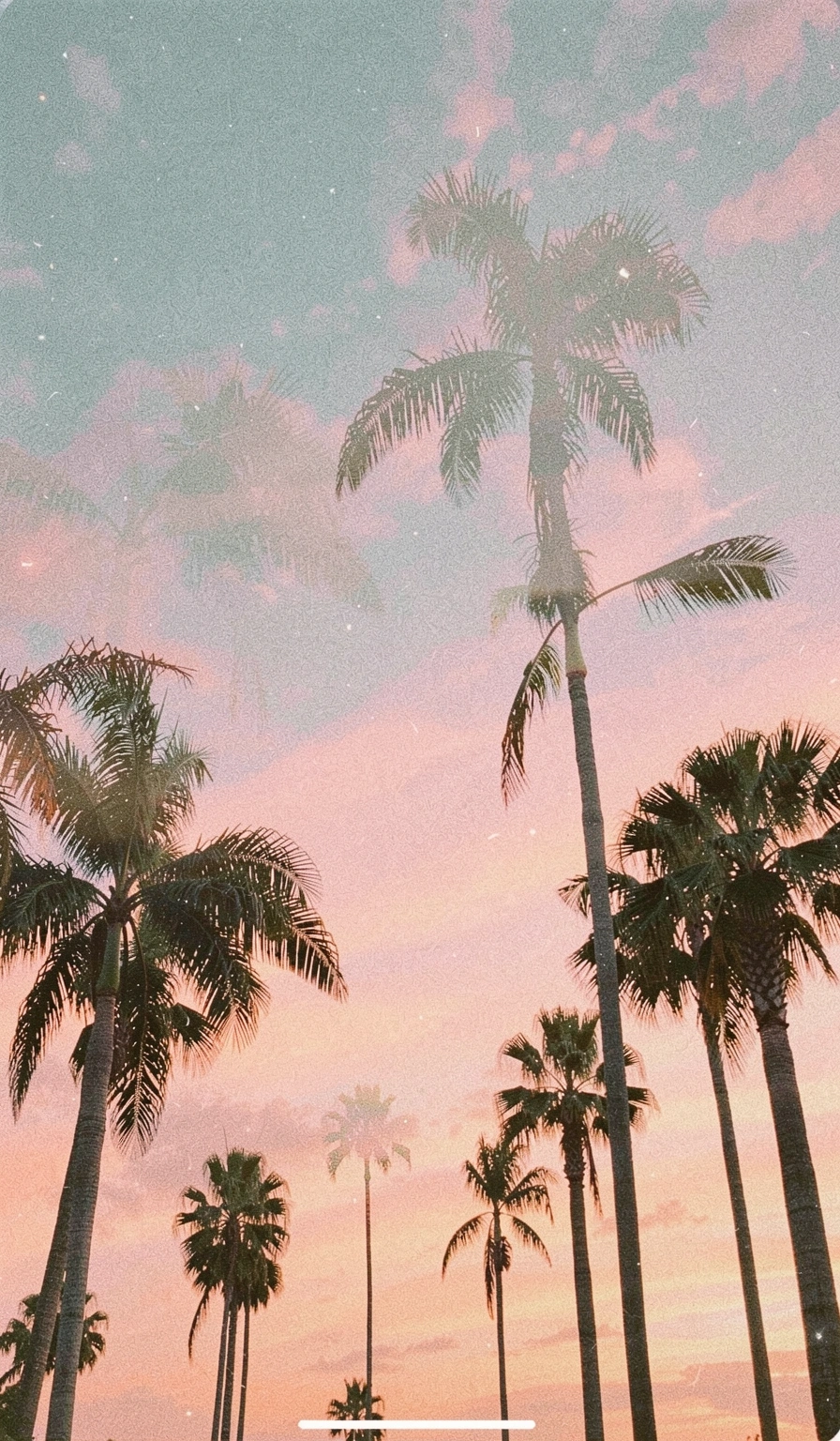 aesthetic wallpaper — vintage film 4 (free download)