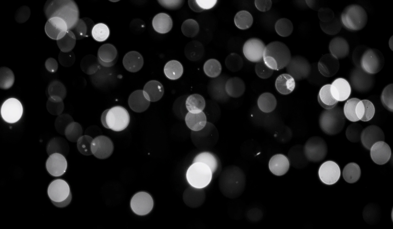 black background — bokeh 1 (free download)