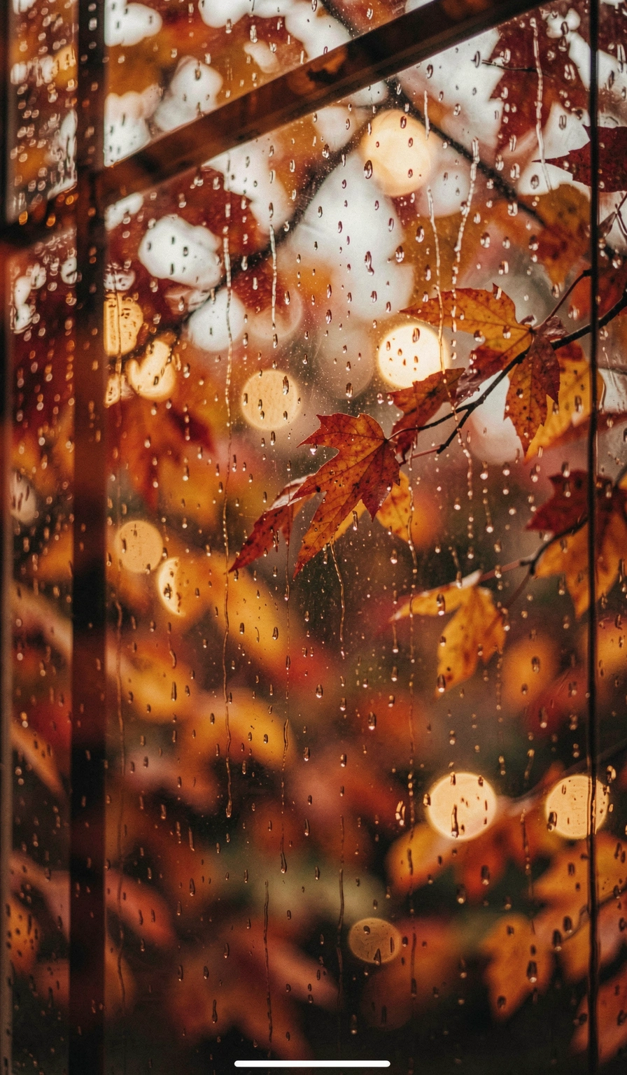 fall wallpaper — rain window 2 (free download)
