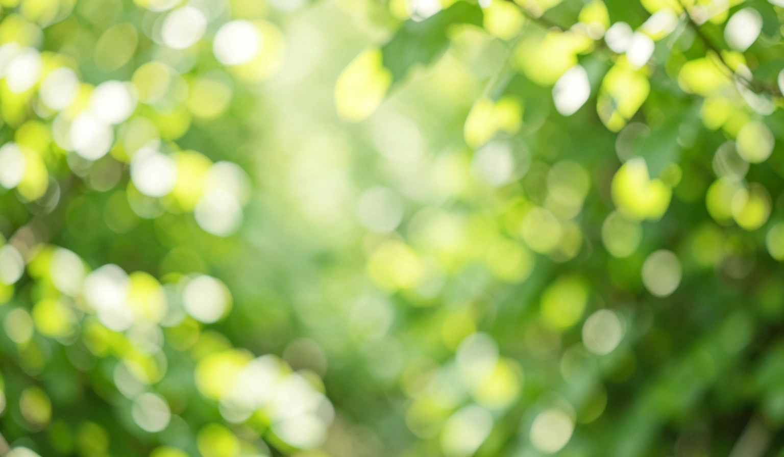 green background — leaves blur 1 (free download)