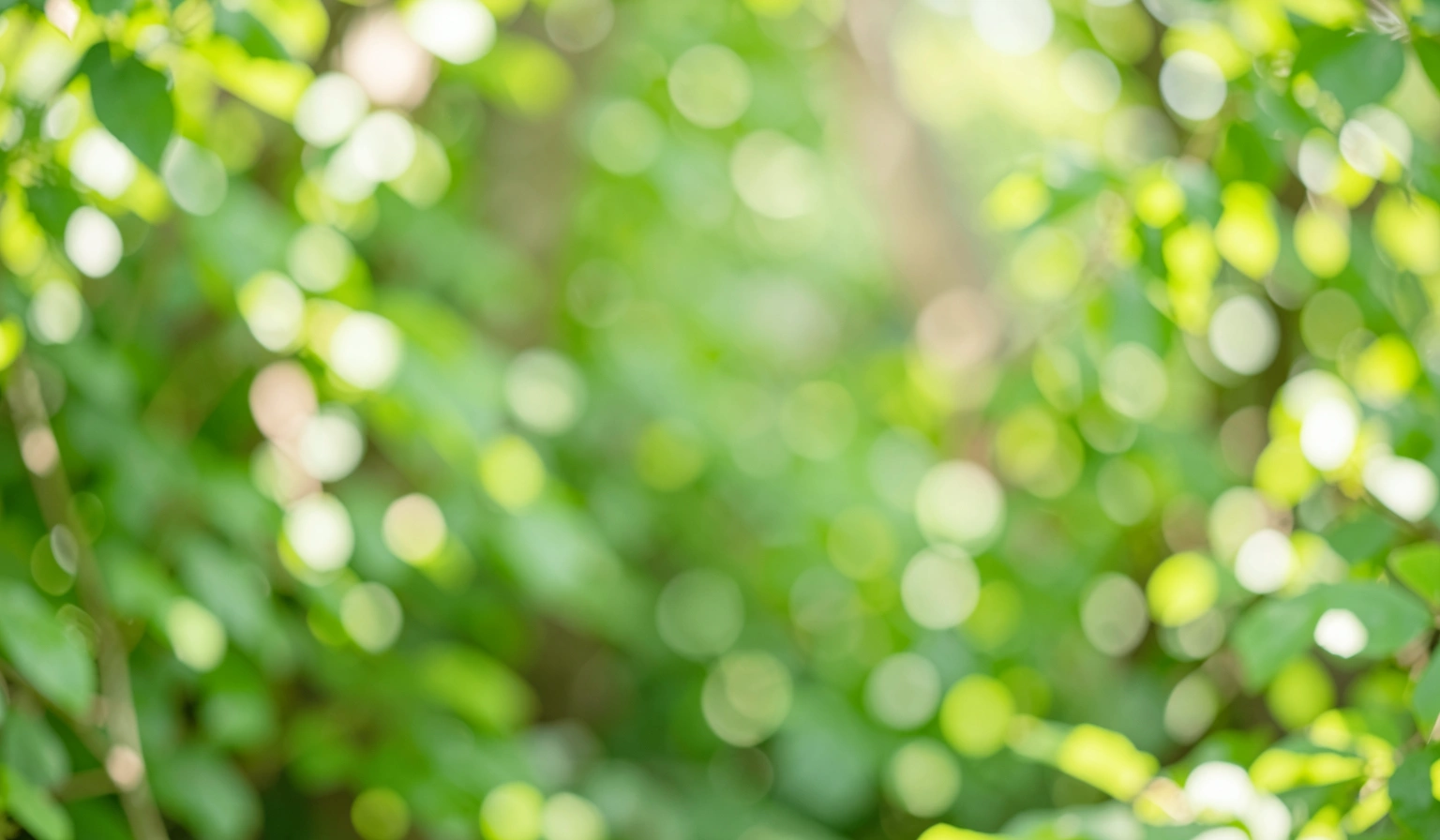 green background — leaves blur 3 (free download)
