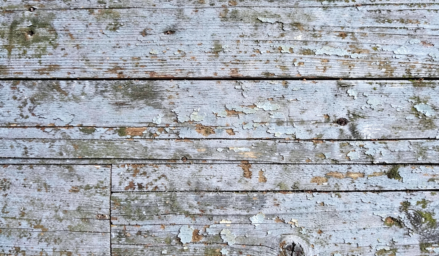 grunge texture — wood weathered 1 (free download)