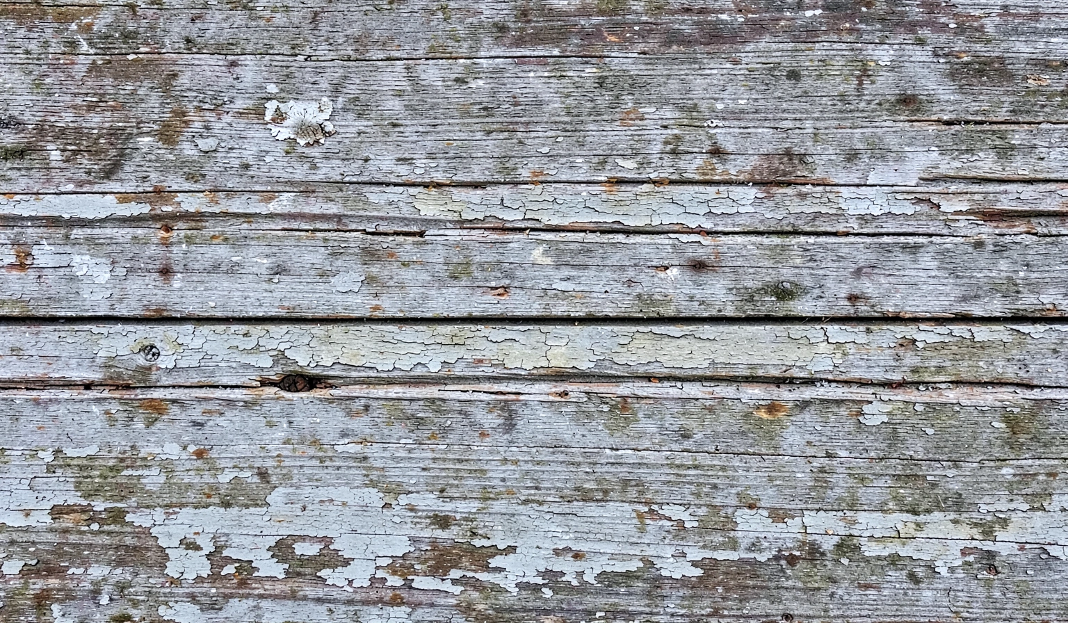 grunge texture — wood weathered 2 (free download)