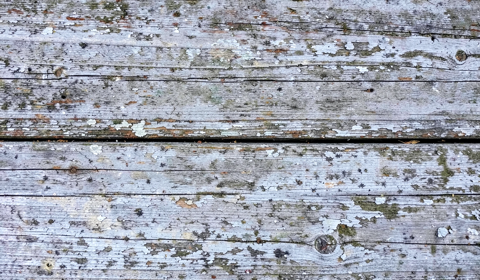 grunge texture — wood weathered 3 (free download)