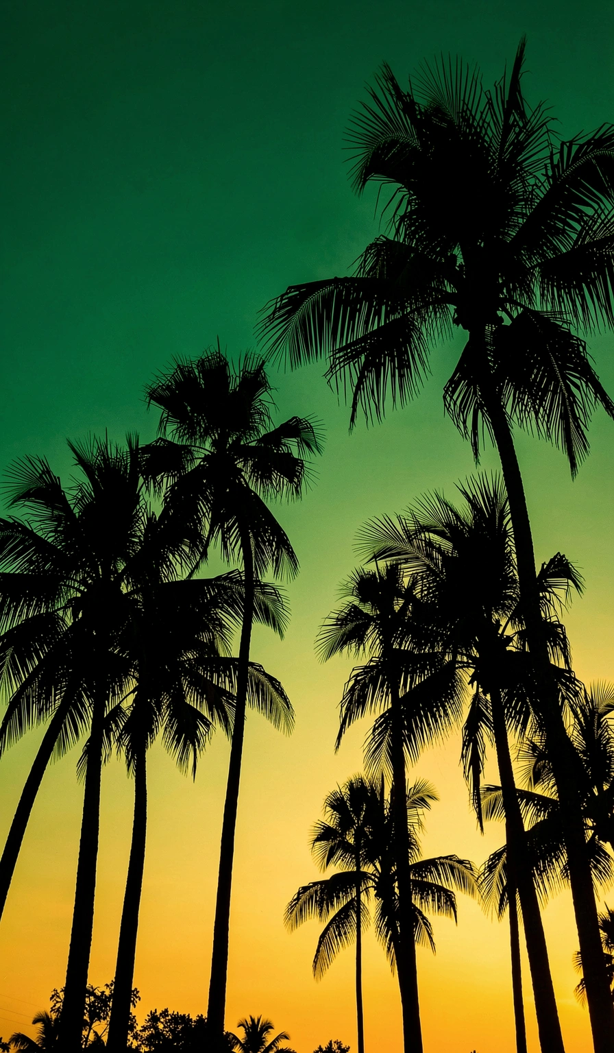 saudi arabia flag wallpaper — palm silhouette 2 (free download)