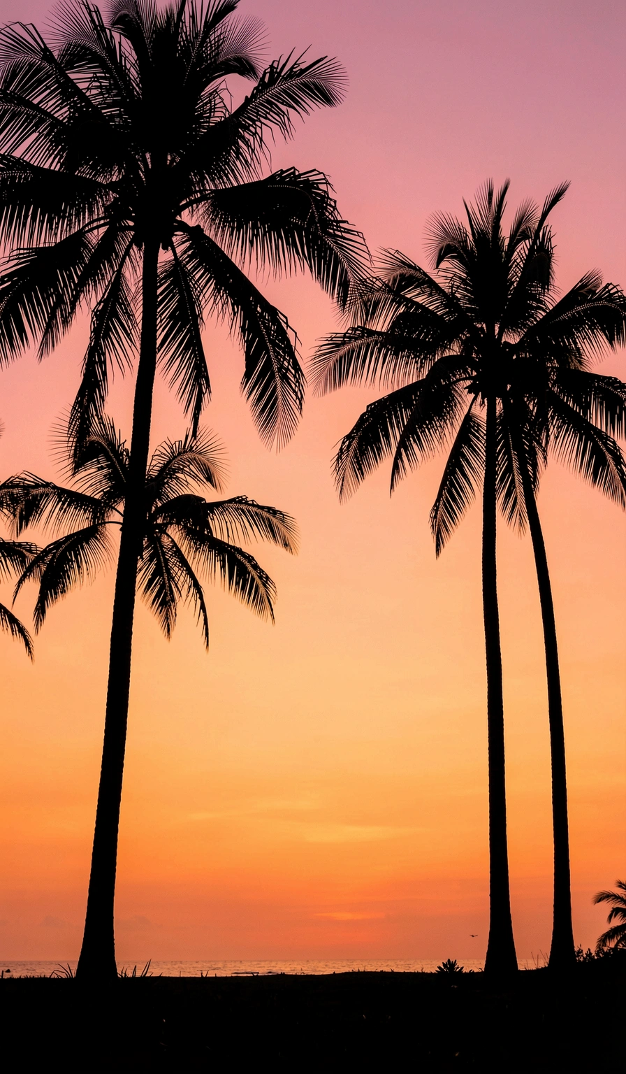 summer wallpaper — palm sunset 2 (free download)